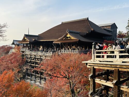 京都観光4日目は清水寺に八坂神社。』東山・祇園・北白川(京都)の旅行