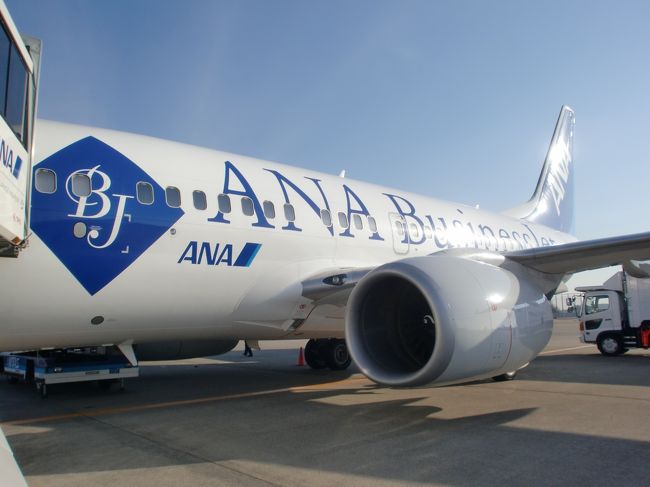 ANA Business Jet インド ムンバイ』ムンバイ(インド)の旅行記・ブログ