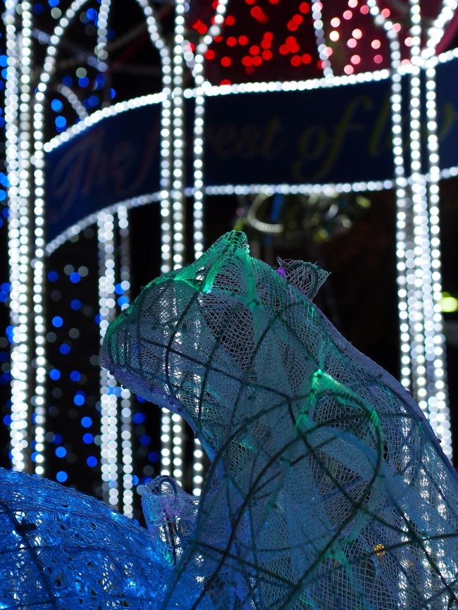 油絵専用夕方寄りそって帰るアヒルの恋人たち