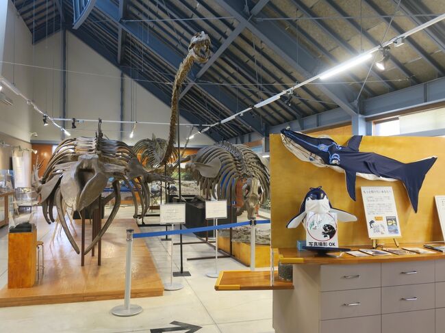 2022.MAY 沼田町化石体験館と小平町文化交流センターへ行って来ました