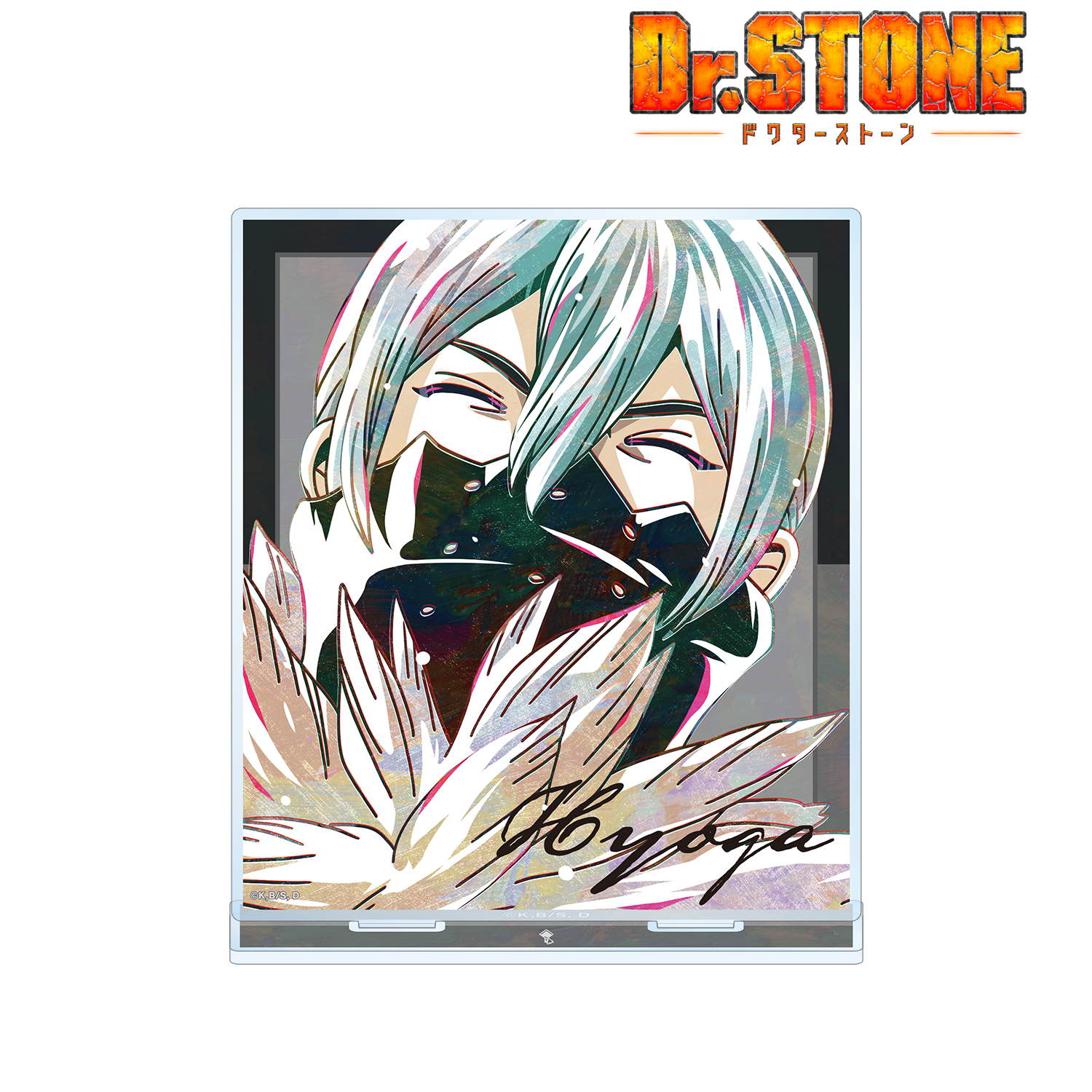 Dr．STONE_氷月 Ani-Art 第2弾 BIGアクリルスタンド | 公式