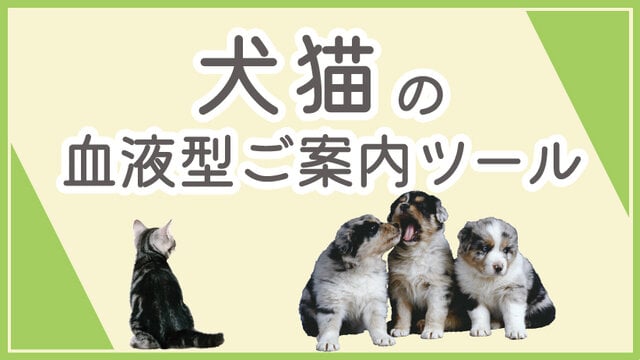 43dde390-355e-4452-9932-