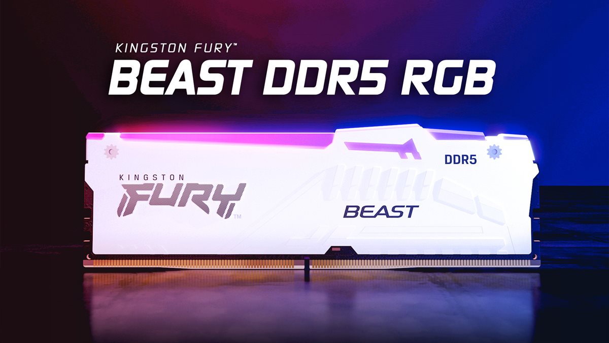 Kingston FURY Beast DDR5 5600 32GB(16GBx2) RGB Desktop