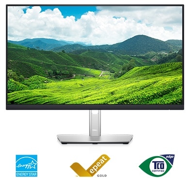 Dell P2422HE 24