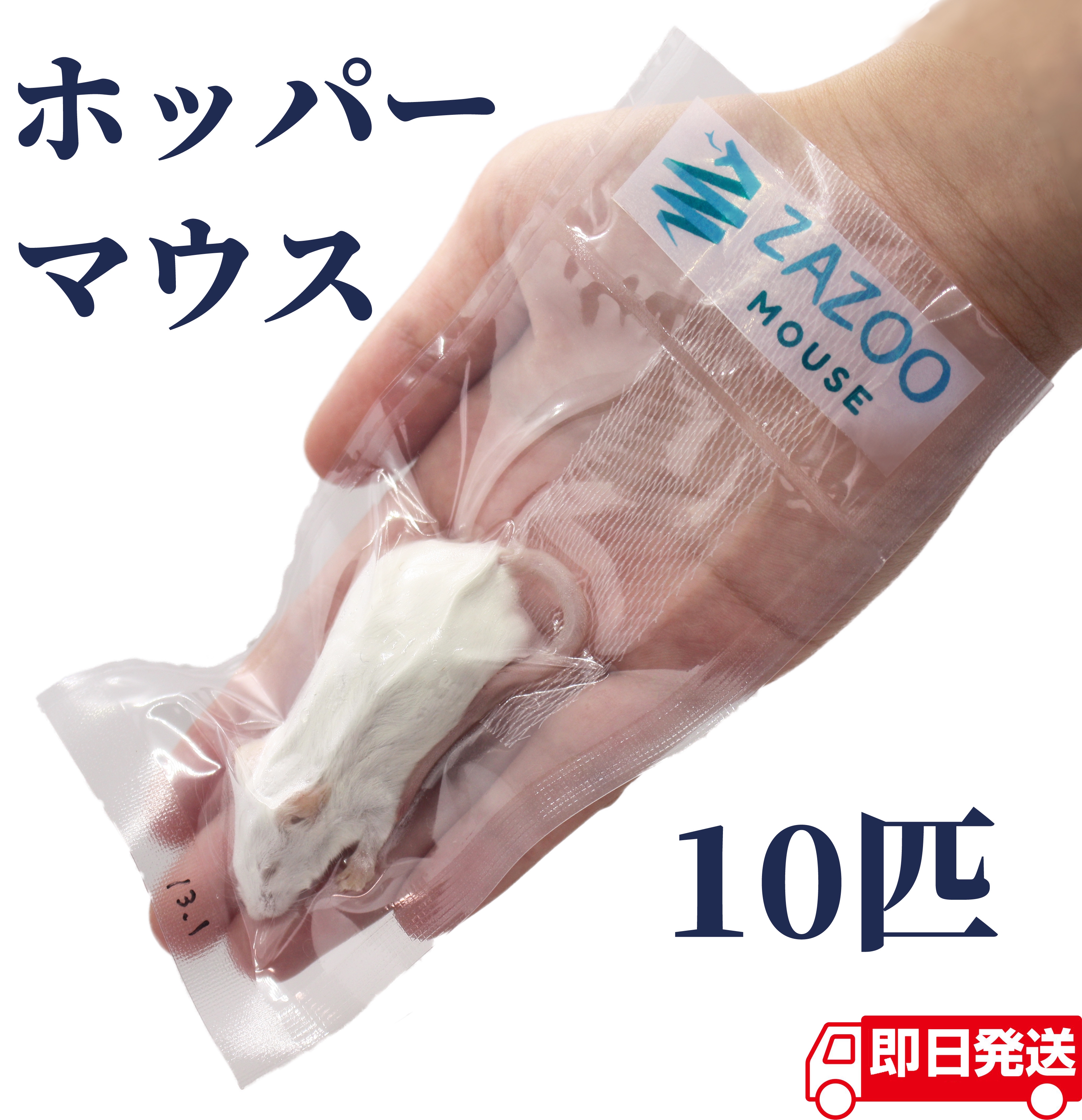 ホッパー マウス 10〜15g 約6.5cm 真空 個別包装 国産 冷凍マウス | ZAZOO