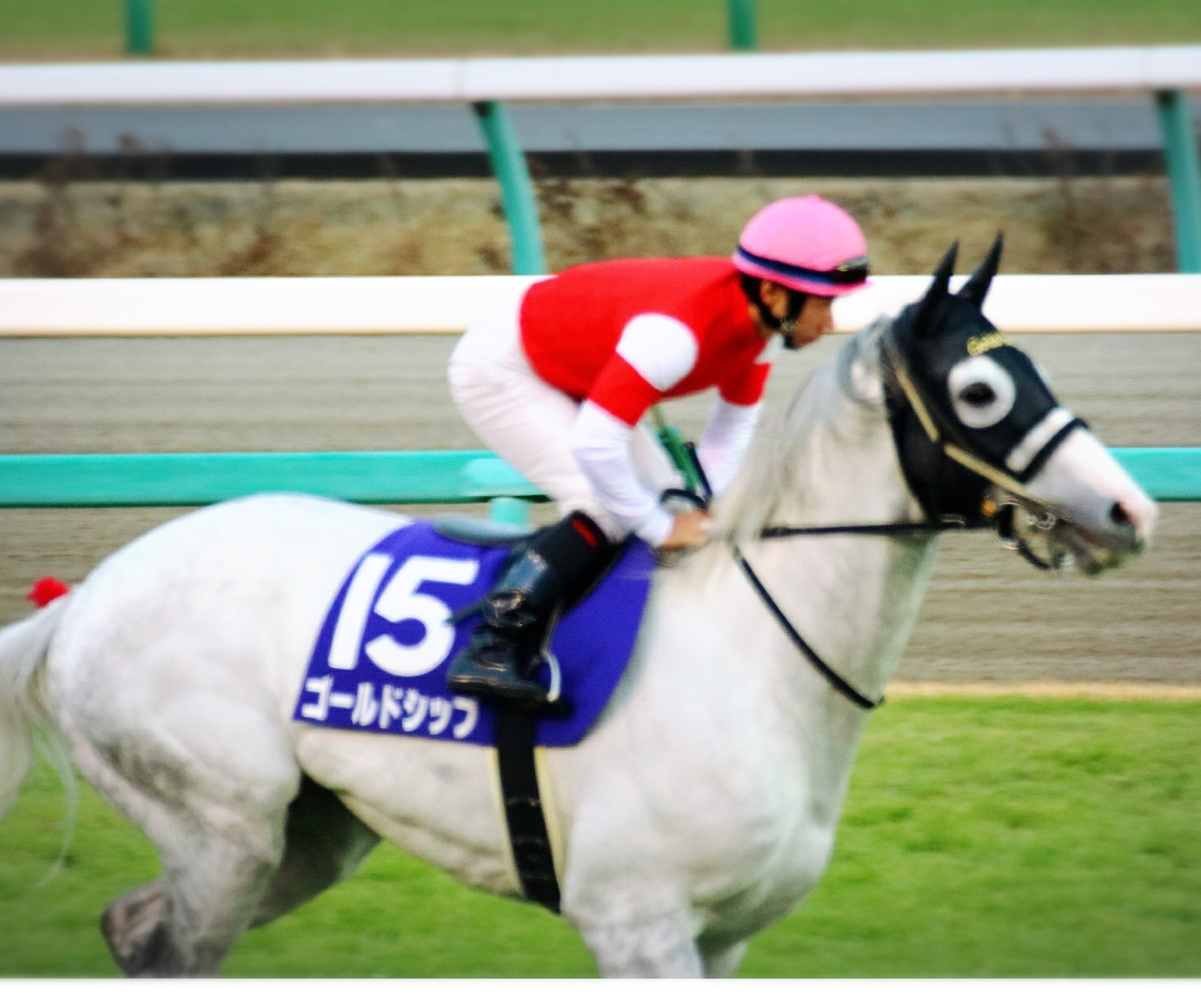 第60回有馬記念～ゴールドシップのラストラン～ | Dreaming to its lineage