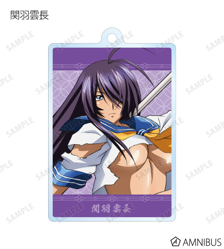 真・一騎当千 - トレーディングアクリルキーホルダー | AMNIBUS
