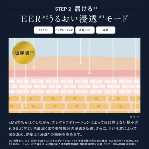 アンファースカルプD公式通販 | 予防医学のアンファーストア