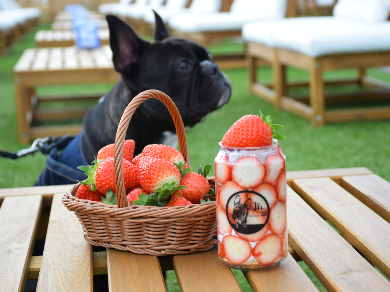 今季最終！25(日)限定特別価格／／じゃらん予約特典ワンちゃん無料