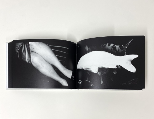 DAIDO SLIDE（左） - 森山大道 | AKIO NAGASAWA