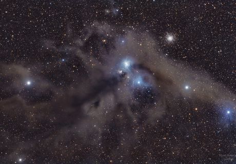 The Anteater Nebula (NGC 6726) - AstroBin