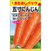 ニチノウのタネ 五寸人参（おためしパック） 日本農産種苗