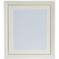 富士フイルム フジカラー アルミ額縁 A300 全紙 A300Z 1枚 563-0252