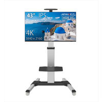 設置込】JAPANNEXT 50インチワイド4K液晶モニター 純正スタンドセット