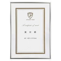 富士フイルム フジカラー アルミ額縁 A300 全紙 A300Z 1枚 563-0252