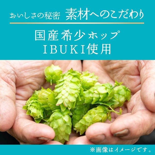 ビール キリン 晴れ風 350ml 缶 2箱（48本） - アスクル