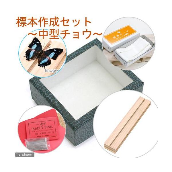 志賀昆虫普及社 志賀昆虫 標本作成セット ~中型チョウ~ 24626 1セット