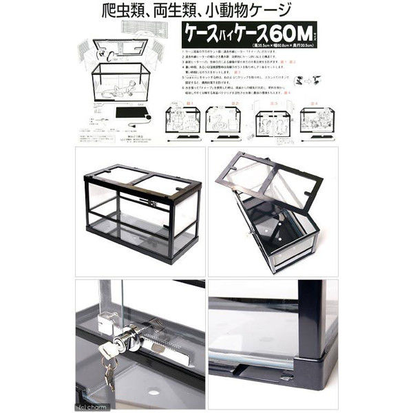 みどり商会 ケースバイケース60M 爬虫類 飼育 ケージ ガラスケージ