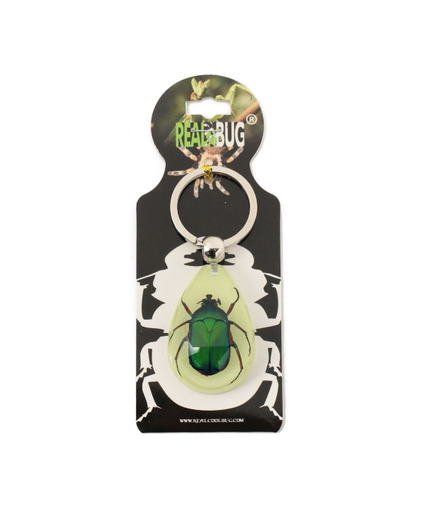 bPr BEAMS（bPrビームス）REAL BUG / DROP KEY CHAIN GLOW IN THE DARK