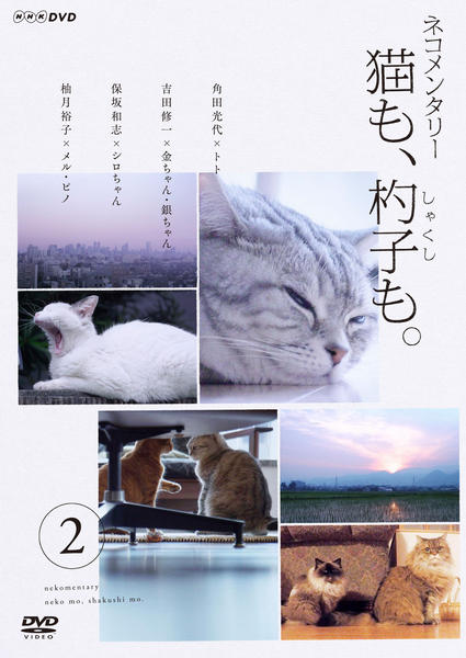 DVD「ネコメンタリー 猫も、杓子も。 2」作品詳細 - GEO Online/ゲオ
