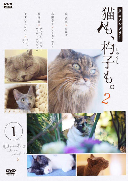 DVD「ネコメンタリー 猫も、杓子も。2 1」作品詳細 - GEO Online