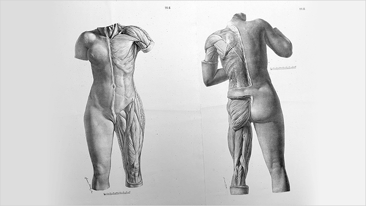 美術解剖学教員 加藤公太 | コロソ.