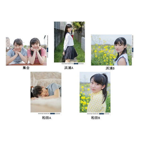 アーティスト選択 :: アーティスト :: ハロー！プロジェクト :: こぶし