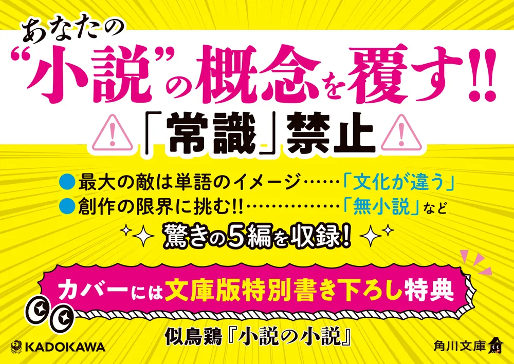小説の小説」似鳥鶏 [角川文庫] - KADOKAWA