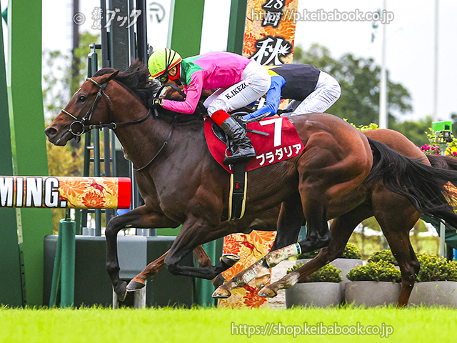 プラダリアが史上4頭目の京都大賞典連覇に挑戦 | ニュース | 競馬ブック