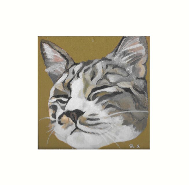 猫イラスト「マルコ目を閉じて」原画（アクリル板つき） | iichi 日々