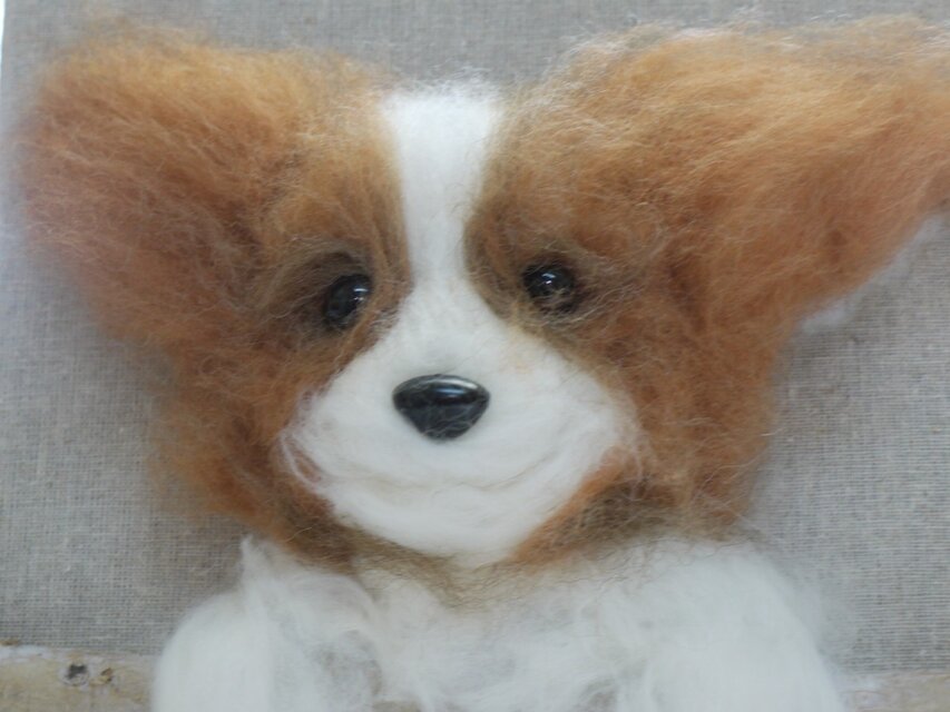 羊毛フェルト・ペット壁掛けタイプAパピヨン | iichi 日々の暮らしを