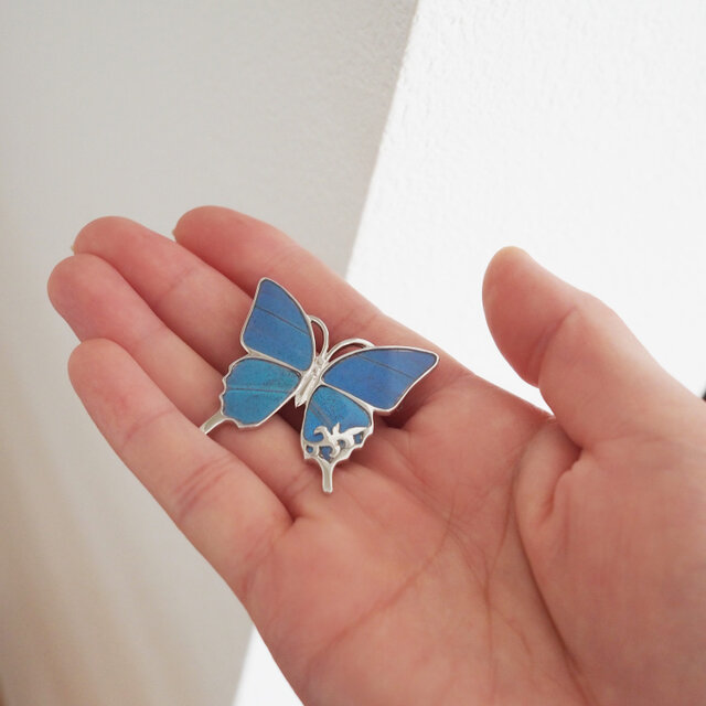 モルフォ蝶のブローチ | iichi 日々の暮らしを心地よくする