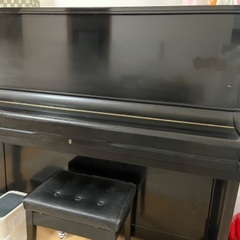 スタインリッヒの中古が安い！激安で譲ります・無料であげます｜ジモティー