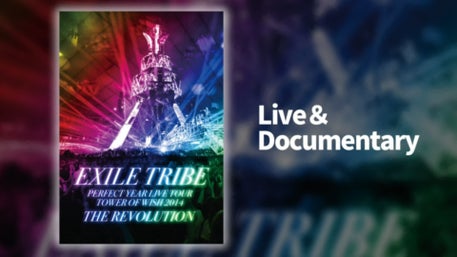 EXILE TRIBE PERFECT YEAR LIVE TOUR TOWER OF WISH 2014 ～THE