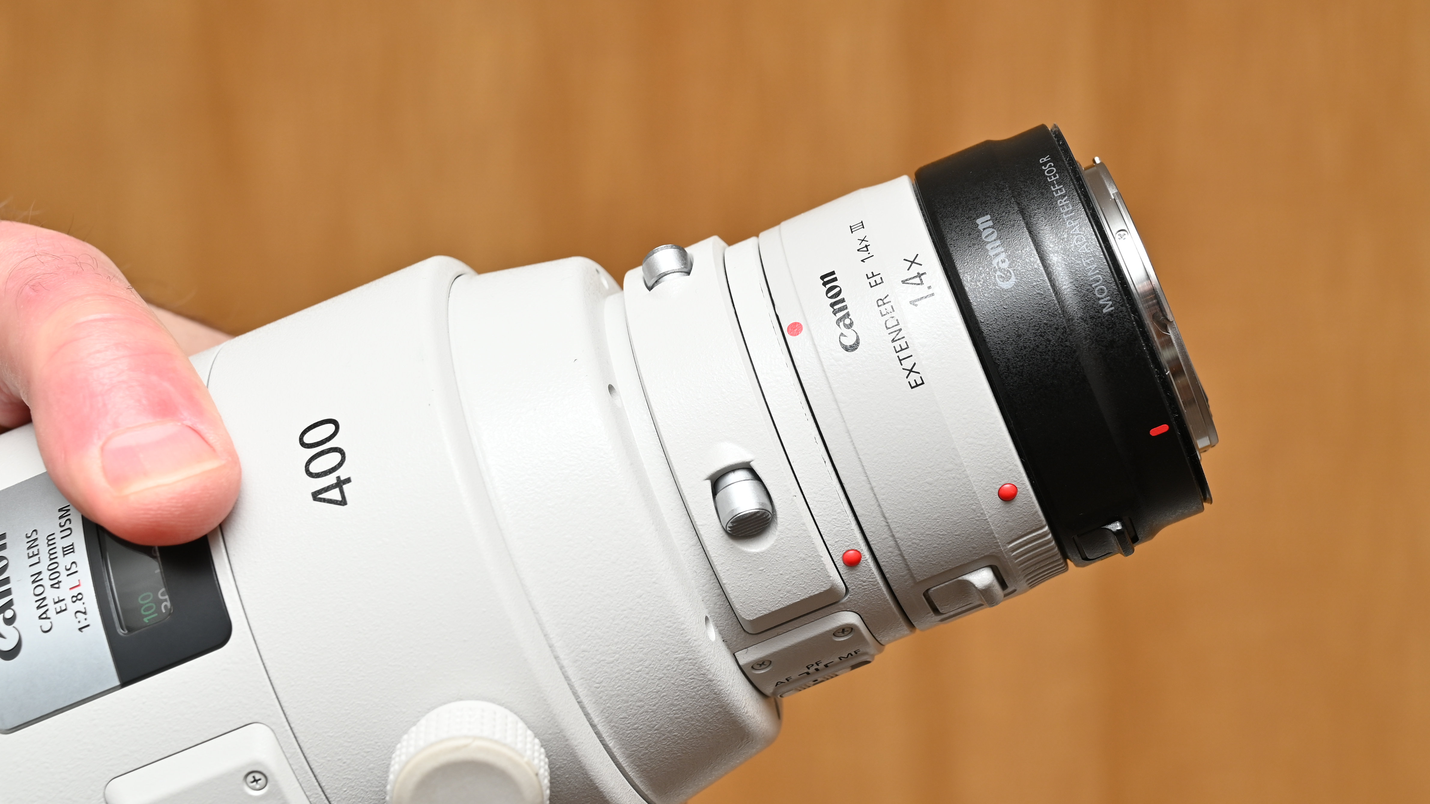 Canon Extender EF 1.4x III review: extend your telephoto reach