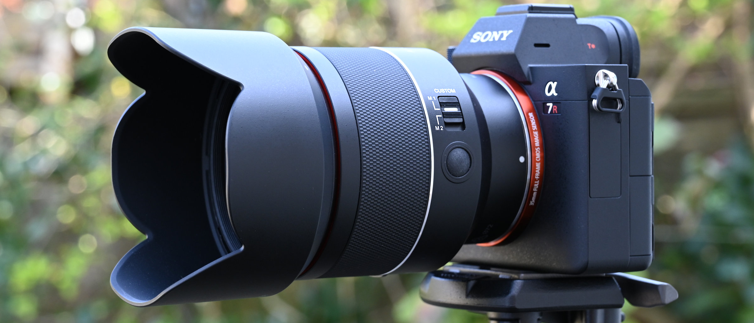 Samyang AF 50mm F1.4 FE II review | Digital Camera World
