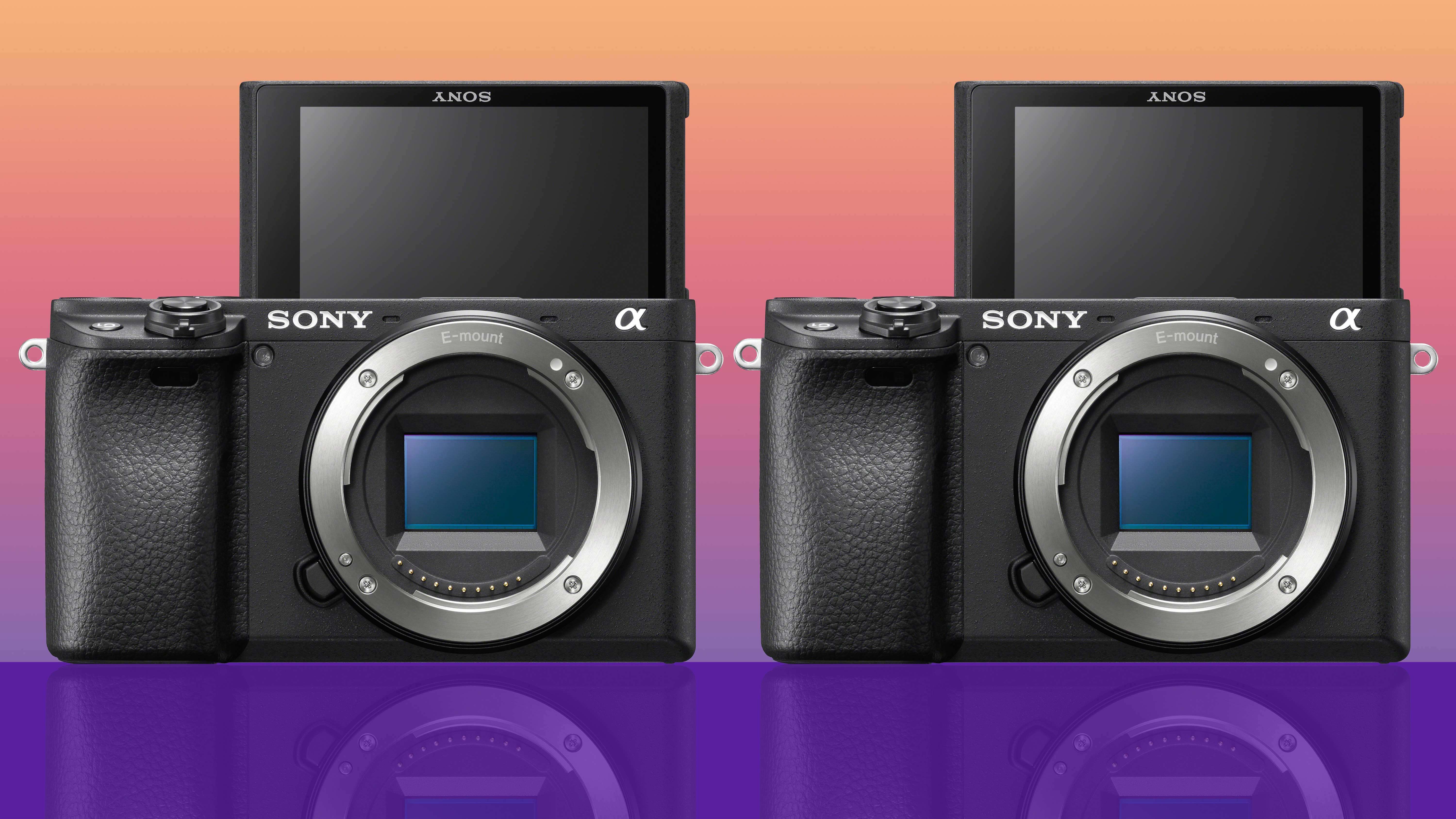 Sony stealth-launches two new mirrorless APS-C cameras | Digital