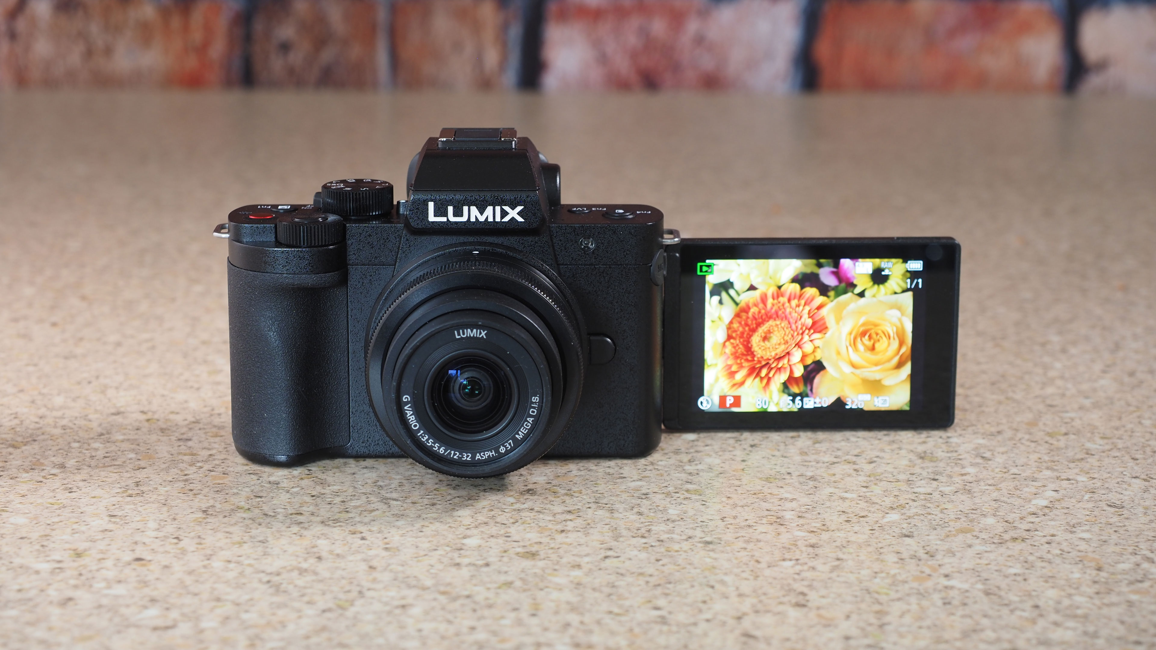 Panasonic Lumix G100D review: minor modifications | Digital Camera