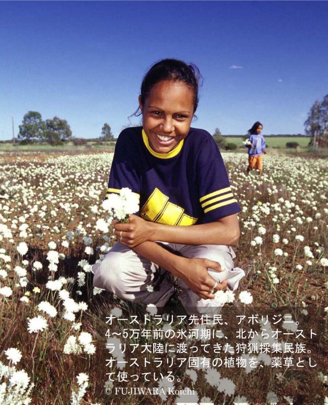 その薬は、かつて1枚の木の葉から作られたのかもしれない | 薬草の森を