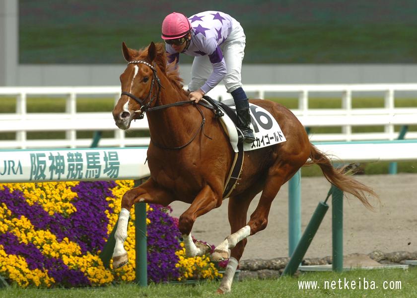 スカイゴールド (Sky Gold) | 競走馬データ - netkeiba