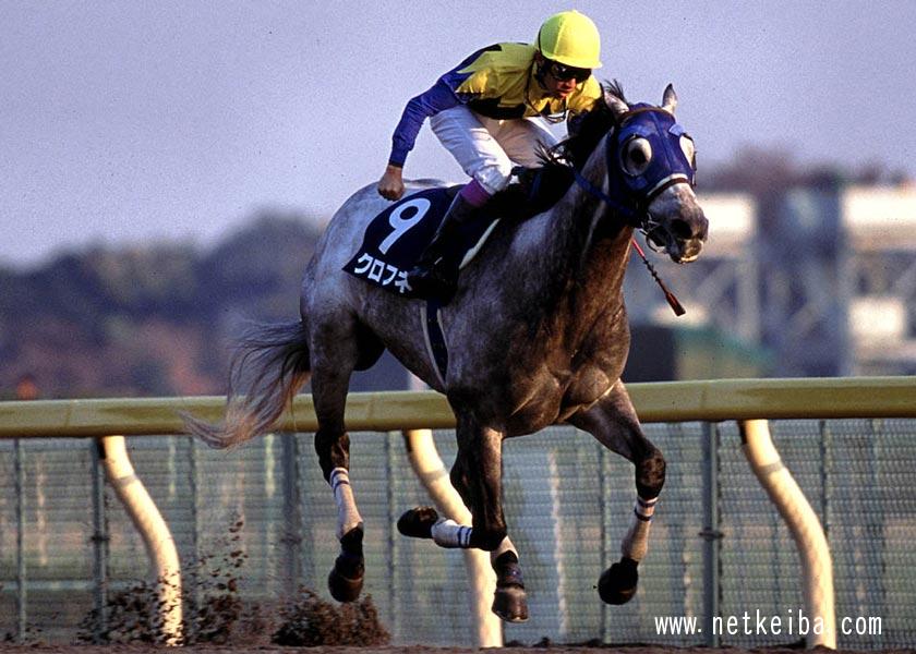 芦毛まとめ】忘れられない芦毛の名馬たち | 競馬まとめ - netkeiba.com