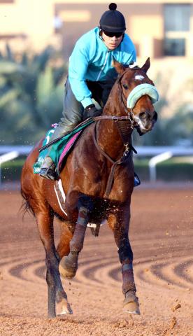 シンガポール航空国際C、コスモバルクが優勝 | 競馬ニュース - netkeiba