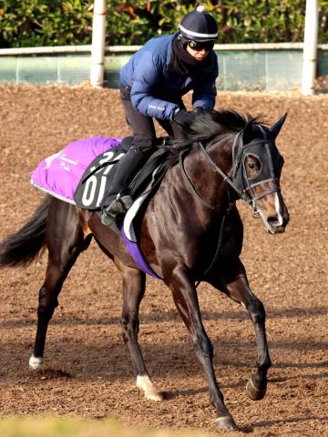 エイシンフラッシュが世代頂点の座を射止める/日本ダービー | 競馬