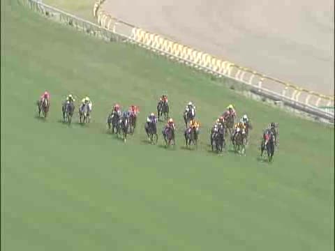 ヴィクトリアマイル レース結果 | 2007年5月13日 東京11R - netkeiba