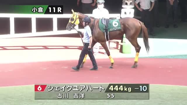 シェイクユアハート (Shake Your Heart) | 競走馬データ - netkeiba