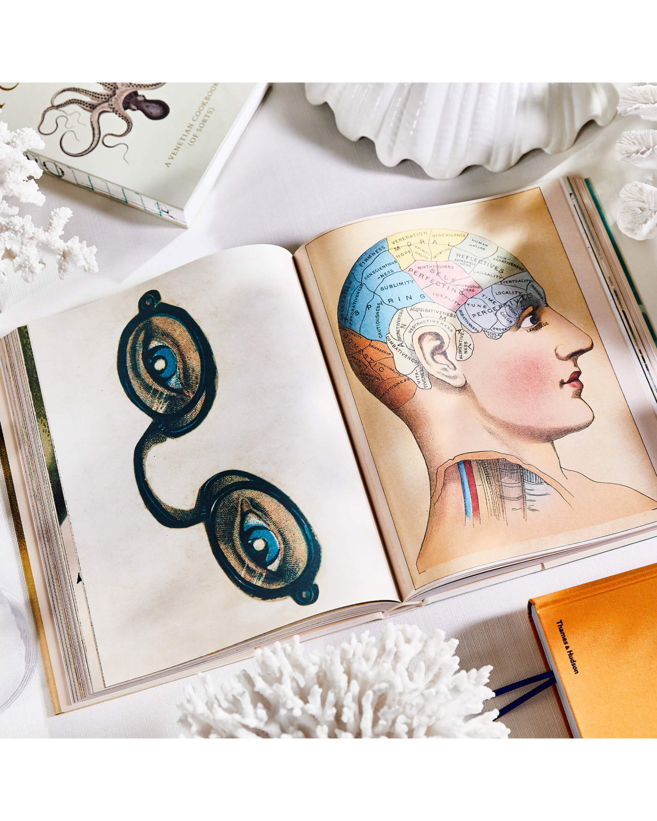 アート・デザイン・音楽 John Derian: The Picture Book Collection