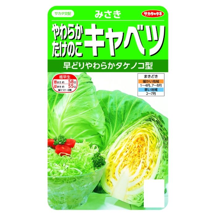 サカタのタネ やわらかたけのこキャベツ みさきの通販｜キャベツ｜野菜