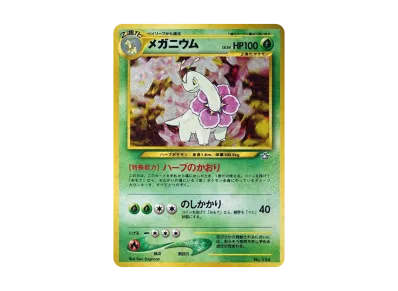 リザードンプレミアムファイル2: 旧裏[neoP2 No.006](プレミアム