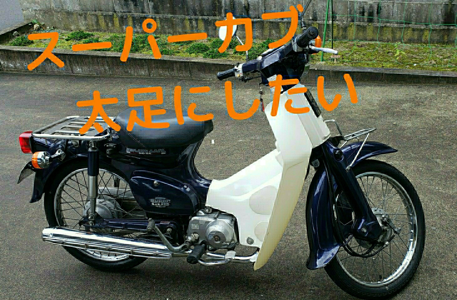 スーパーカブを太足ワイドリムに①（ホンダ スーパーカブ50）by 10play