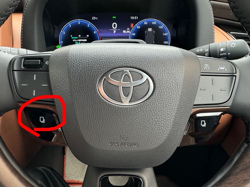 LED打ち替え品20アルファードヴェルファイアステアリングスイッチ白